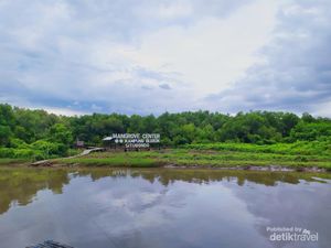 Kampung Blekok, Sajikan Panorama Burung dan Rumahnya Oleh-oleh Indonesia Kampung Blekok, Sajikan Panorama Burung dan Rumahnya Oleh-oleh Indonesia