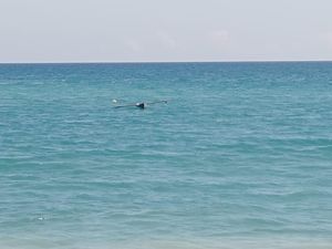 Pria Amfoang Kupang Ditemukan Tewas Dalam Perahu di Tengah Laut