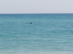 Pria Amfoang Kupang Ditemukan Tewas Dalam Perahu di Tengah Laut