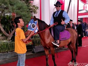 Anggota DPRD Kota Kediri Ini Datang ke Pelantikan dengan Tunggangi Kuda Anggota DPRD Kota Kediri Ini Datang ke Pelantikan dengan Tunggangi Kuda