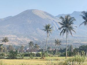 Kebakaran Gunung Guntur Padam Setelah 4 Hari, 200 Hektare Lahan Ludes Kebakaran Gunung Guntur Padam Setelah 4 Hari, 200 Hektare Lahan Ludes