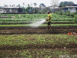 ATR/BPN Terjunkan Tim Khusus Urus Lahan buat Transmigran ke Sulteng ATR/BPN Terjunkan Tim Khusus Urus Lahan buat Transmigran ke Sulteng