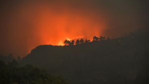 Penampakan Kebakaran Lahap Hutan di Gunung Guntur Garut