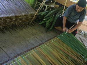 Potret Warga Aceh Barat Raup Cuan dari Daun Rumbia