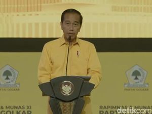 Jokowi Akui Lebih Nyaman di Bawah Pohon Beringin: Adem dan Sejuk Jokowi Akui Lebih Nyaman di Bawah Pohon Beringin: Adem dan Sejuk