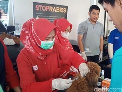 Upaya Melindungi Warga Purwakarta dari Penyakit Rabies