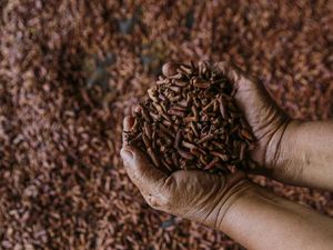 Aturan Kemasan Rokok Baru Picu Polemik