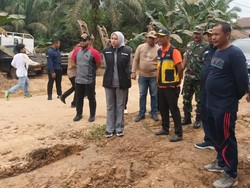 Bupati Rezita Cek Perbaikan Jalan di Inhu yang Diperbaiki Pemprov Riau