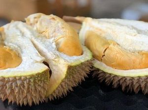 Mantap! Ini 5 Durian Unggulan Asli Sumatera yang Legit Harum