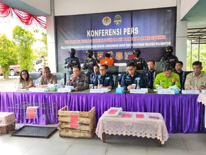 KLHK Tangkap Pedagang Ilegal 2 Ekor Anak Orang Utan & 1 Kukang di Kalbar KLHK Tangkap Pedagang Ilegal 2 Ekor Anak Orang Utan & 1 Kukang di Kalbar