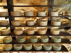 Ratusan Ribu Kilogram Keju Tersimpan di Bawah Gua, Ini Alasannya!