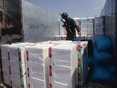 Penyenlundupan 795 Ribu Benih Lobster di Kepri Berhasil Digagalkan
