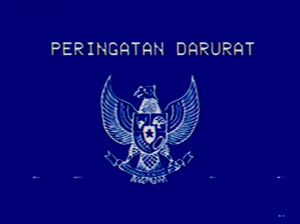Peringatan Darurat Bergema di Festival Musik Peringatan Darurat Bergema di Festival Musik