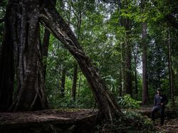 Kebakaran Hutan Makin Marak, Pemulihan Ekosistem Penting Dilakukan