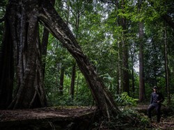 Liburan Pasutri Berakhir Nahas di Thailand, Istri Tewas, Suami Luka Parah
