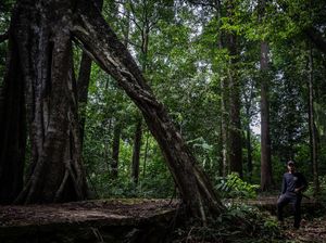 Liburan Pasutri Berakhir Nahas di Thailand, Istri Tewas, Suami Luka Parah Liburan Pasutri Berakhir Nahas di Thailand, Istri Tewas, Suami Luka Parah