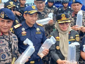 Penyelundupan Benih Lobster Senilai Rp 90 M Digagalkan, Pelaku Lompat ke Laut Penyelundupan Benih Lobster Senilai Rp 90 M Digagalkan, Pelaku Lompat ke Laut