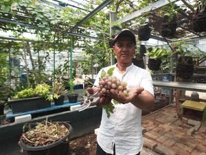 Taktik Dani Arwanto, Ubah Gang Kumuh Jadi Lumbung Pangan Taktik Dani Arwanto, Ubah Gang Kumuh Jadi Lumbung Pangan