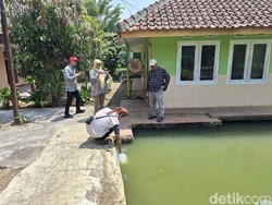 Ketabahan Warga Sukabumi Puluhan Tahun Pakai Air Kolam Saat Kemarau