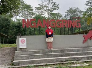 Belajar Ternak Kambing di Jogja? Cobalah ke Desa Ini