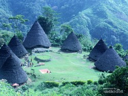 Rekomendasi 6 Tempat Wisata di Labuan Bajo