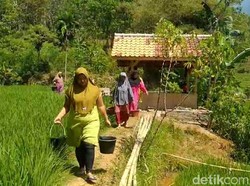 Krisis Air Bersih Landa Tasikmalaya