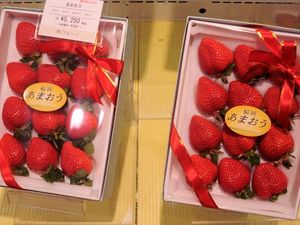 Terungkap! Alasan Buah Jadi Makanan Mewah dan Mahal di Jepang