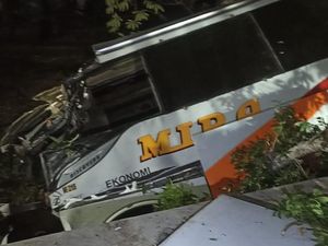 6 Fakta Bus Mira Nyungsep ke Parit Usai Tabrak Pohon Tewaskan Kondektur 6 Fakta Bus Mira Nyungsep ke Parit Usai Tabrak Pohon Tewaskan Kondektur