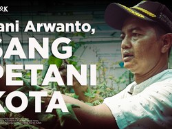 Dani Arwanto, Sulap Gang Kumuh Jadi Lumbung Pangan