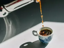 Fantastis! Kopi Termahal di Dunia Ini Harganya Rp 155 Juta per Kg