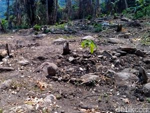 Jadi Praktik Perdukunan, Makam Keramat di Sukabumi Dibongkar Jadi Praktik Perdukunan, Makam Keramat di Sukabumi Dibongkar
