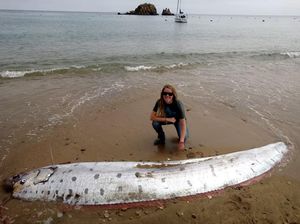 Ini Alasan Oarfish Suka Muncul Sebelum Terjadi Bencana, Benarkah Cuma Kebetulan? Ini Alasan Oarfish Suka Muncul Sebelum Terjadi Bencana, Benarkah Cuma Kebetulan?