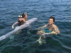 Mitos Horor di Balik Kemunculan Ikan Hari Kiamat