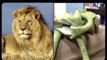Meme Ronaldo Jawara Medsos, Messi mana nih?