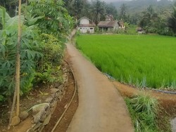 Teror Kuda Gonjreng yang Mistis dan Menghantui Warga Ciamis