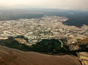 Tambang Emas Terbesar Dunia Ditemukan di China, Nilainya Rp 1.319 T Tambang Emas Terbesar Dunia Ditemukan di China, Nilainya Rp 1.319 T