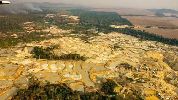 Tambang Emas Ilegal Makin Meluas, Pertanian Brasil Terancam