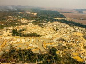Tambang Emas Ilegal Makin Meluas, Pertanian Brasil Terancam