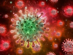 Apakah Punya Riwayat Cacar Air Lebih Mudah Terinfeksi Mpox? Ini Penjelasannya Apakah Punya Riwayat Cacar Air Lebih Mudah Terinfeksi Mpox? Ini Penjelasannya