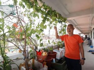 Berhenti Kerja, Karyawan IT Ini Pilih Jadi Tukang Kebun!