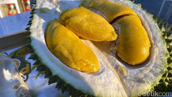 Durian Musang King hingga Es Cendol Durian yang Legit Bisa Cicip di Sini