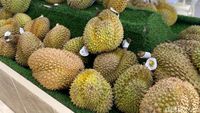 Ngidam Durian Enak? Di Tempat Ini Ada Dessert dan Ragam Durian Premium