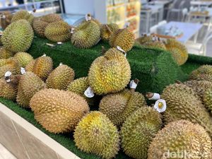Ngidam Durian Enak? Di Tempat Ini Ada Dessert dan Ragam Durian Premium Ngidam Durian Enak? Di Tempat Ini Ada Dessert dan Ragam Durian Premium