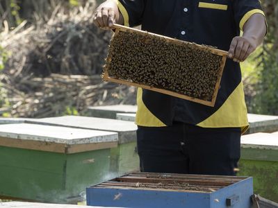 Penjaminan Kredit untuk 3,89 Juta UMKM di Indonesia