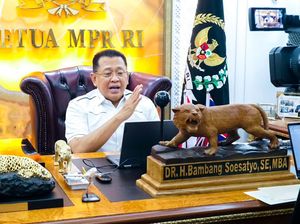 MPR Akan Surati MA soal Gugatan Pergantian Fadel Muhammad MPR Akan Surati MA soal Gugatan Pergantian Fadel Muhammad