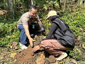 Sejuta Pohon dari Mahasiswa Sukabumi untuk Atasi Krisis Iklim Sejuta Pohon dari Mahasiswa Sukabumi untuk Atasi Krisis Iklim