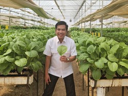 Produksi Beras Agustus-Oktober Naik, Program Pompanisasi Dinilai Berhasil