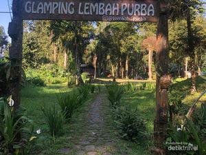Nagih Banget! Glamping di Tengah Hutan Gunung Gede Pangrango