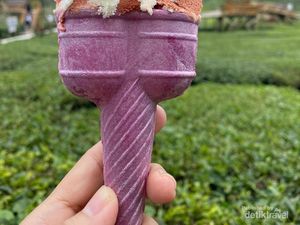 Kebun Teh Sikatok, Destinasi Wonosobo yang Cocok untuk Keluarga Kebun Teh Sikatok, Destinasi Wonosobo yang Cocok untuk Keluarga