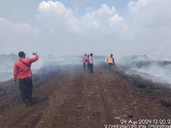 4 Desa di Muara Enim Terjadi Karhutla, Luasnya Mencapai 23 Hektare